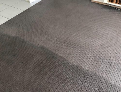 Check out this carpet cleaning project we did recently
